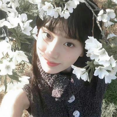 海外精选