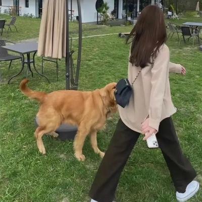 最美丽的小事